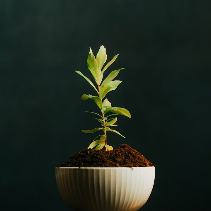 Gruppensitzung in einem modernen Büro, Teilnehmer arbeiten an Laptops und schauen auf einen Bildschirm.